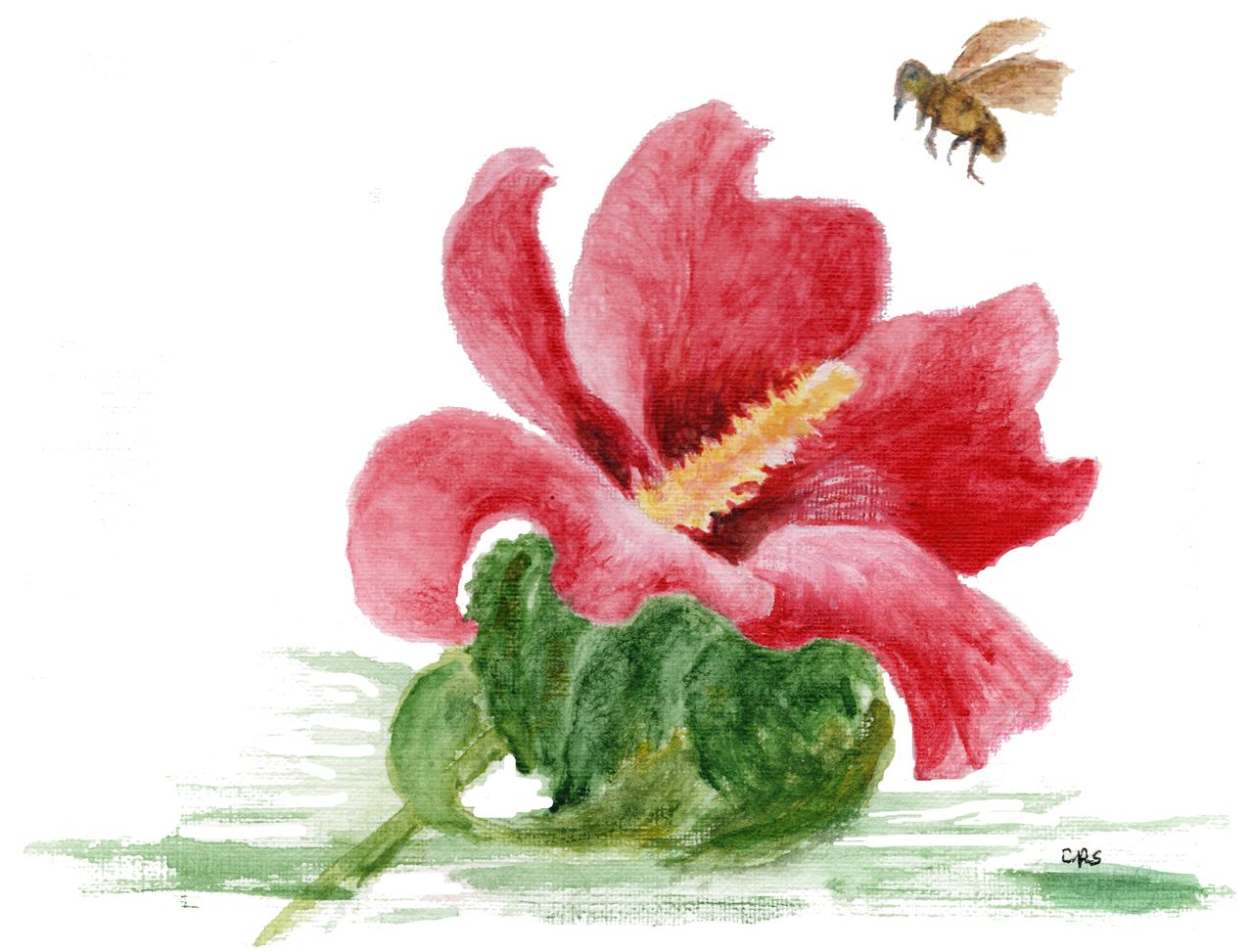 The Buzz