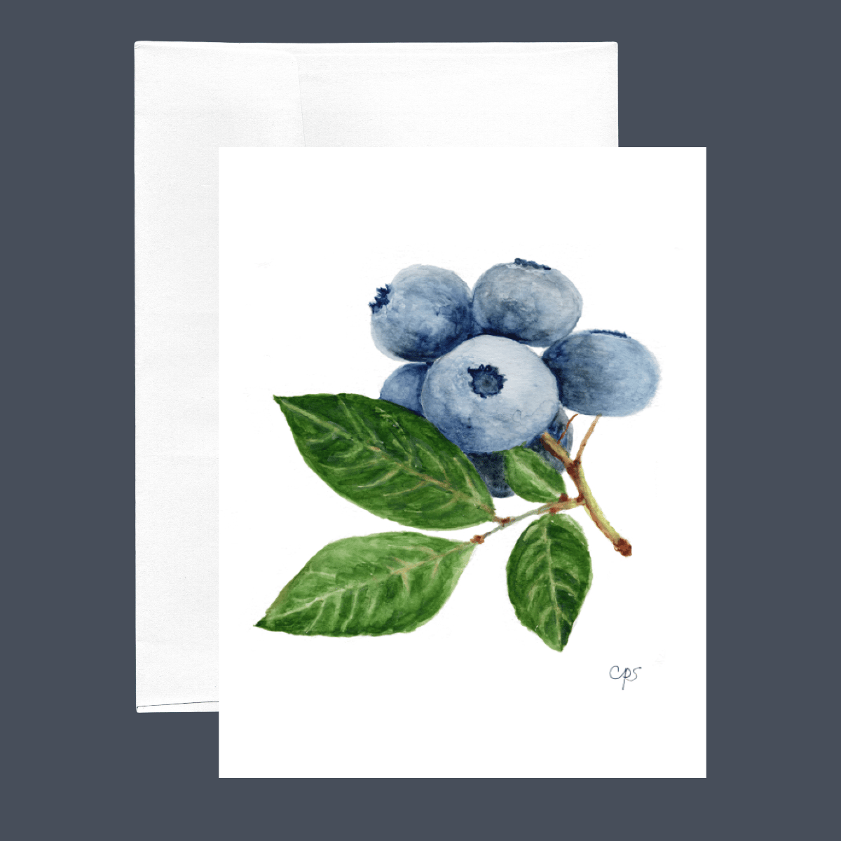 Blueberry