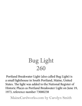 Bug Light — back