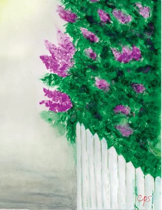 Lilac Fence — front