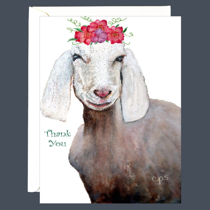 Nanny Goat