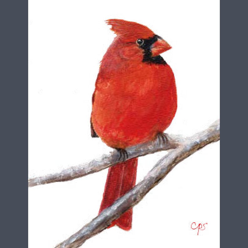 Cardinal