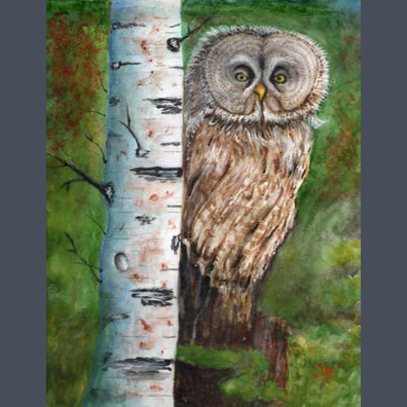 Hoot