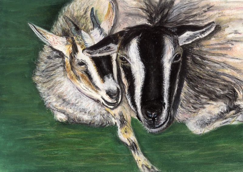 Watercolor painting of goats
