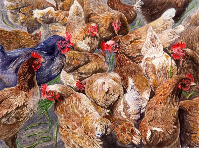 Watercolor of hens in a farmyard