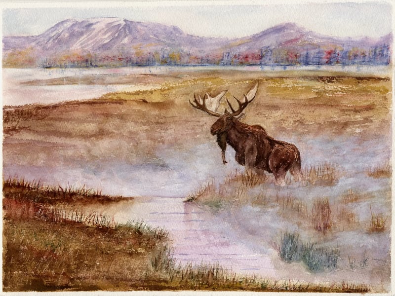 Watercolor painting of a moose