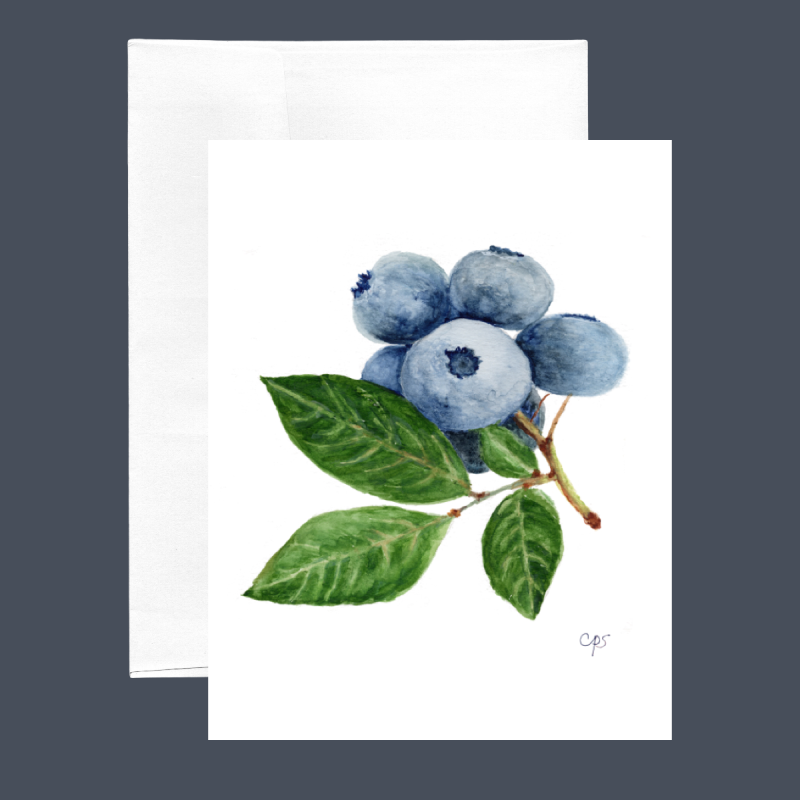 Blueberry - 253
